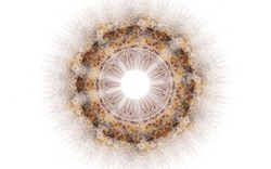 2014 04 26 Afternoon From Blanks 47-white.jpg